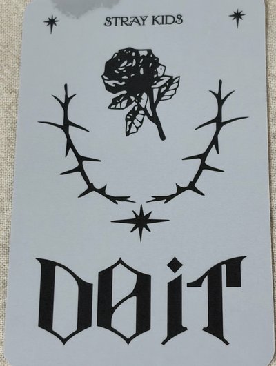 (有大瑕，請注意）DO IT 專輯卡 Evil SKZOO Speaker ver. 預售禮