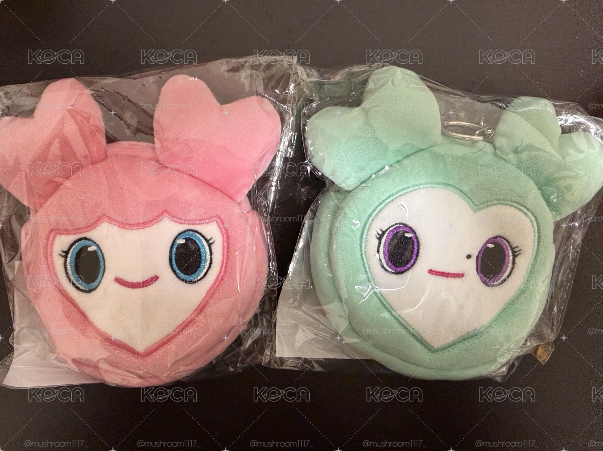 現貨 全新未拆 TWICE 零錢包