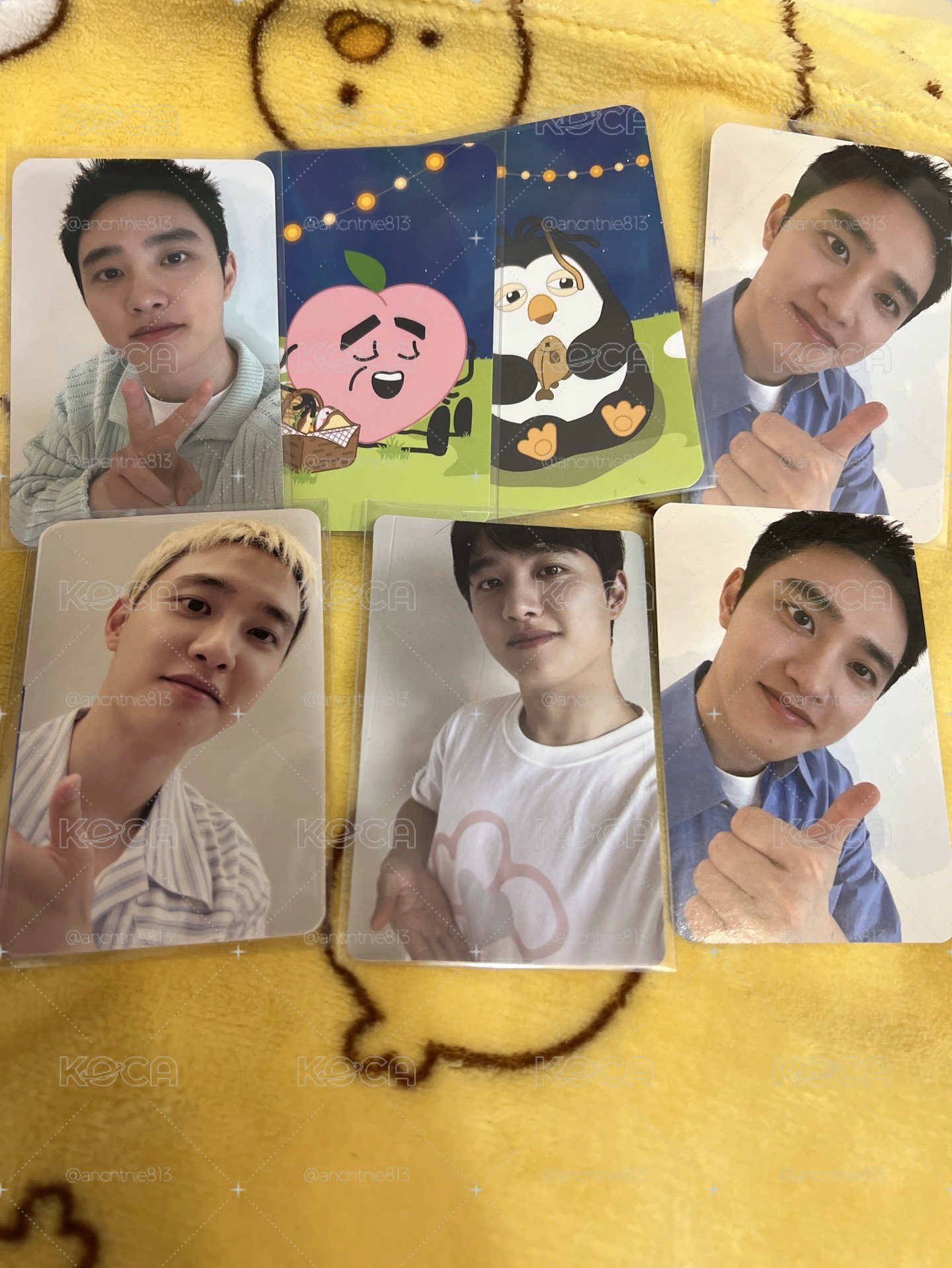 D.O. 小卡