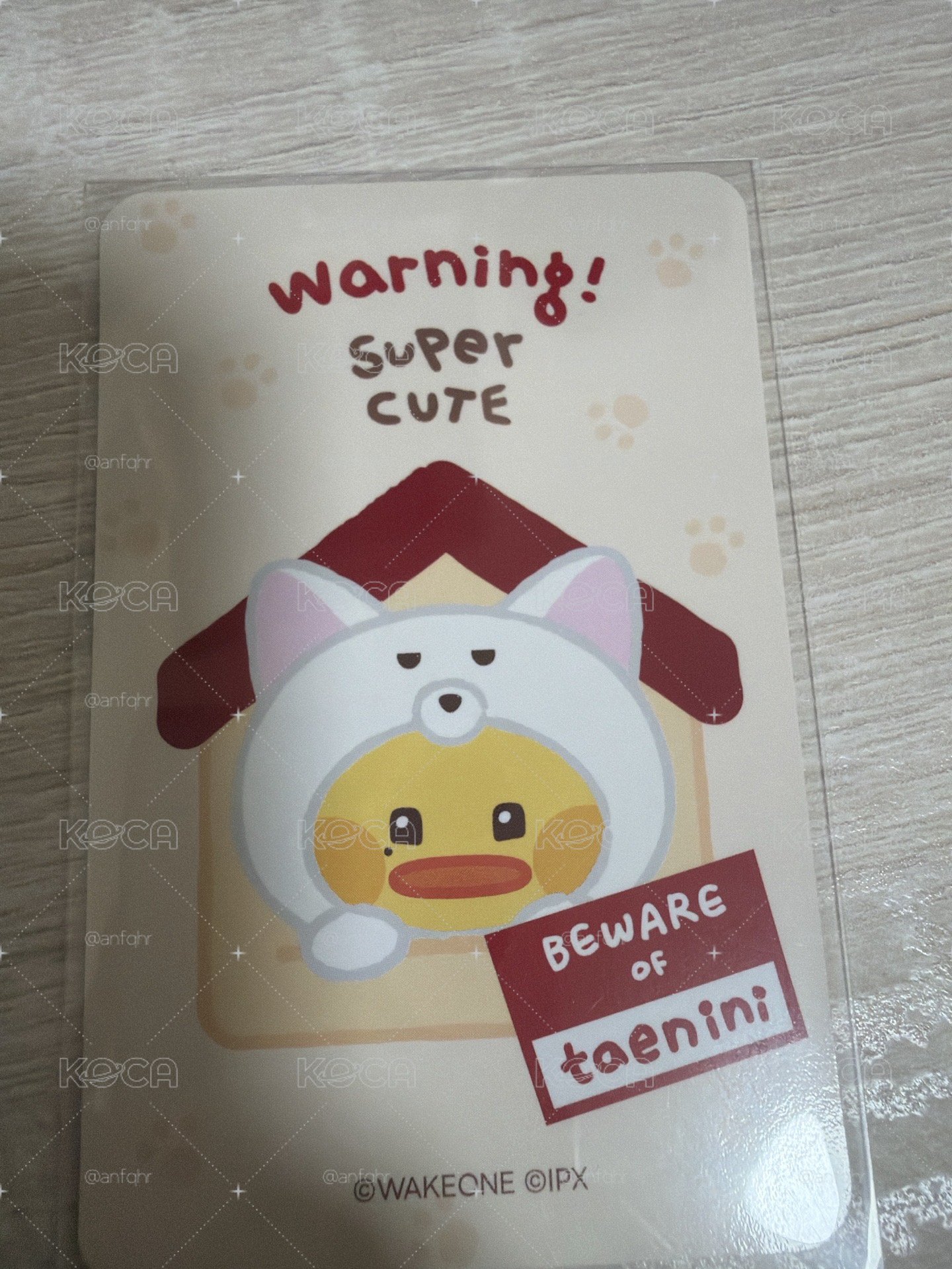 卡背是taenini