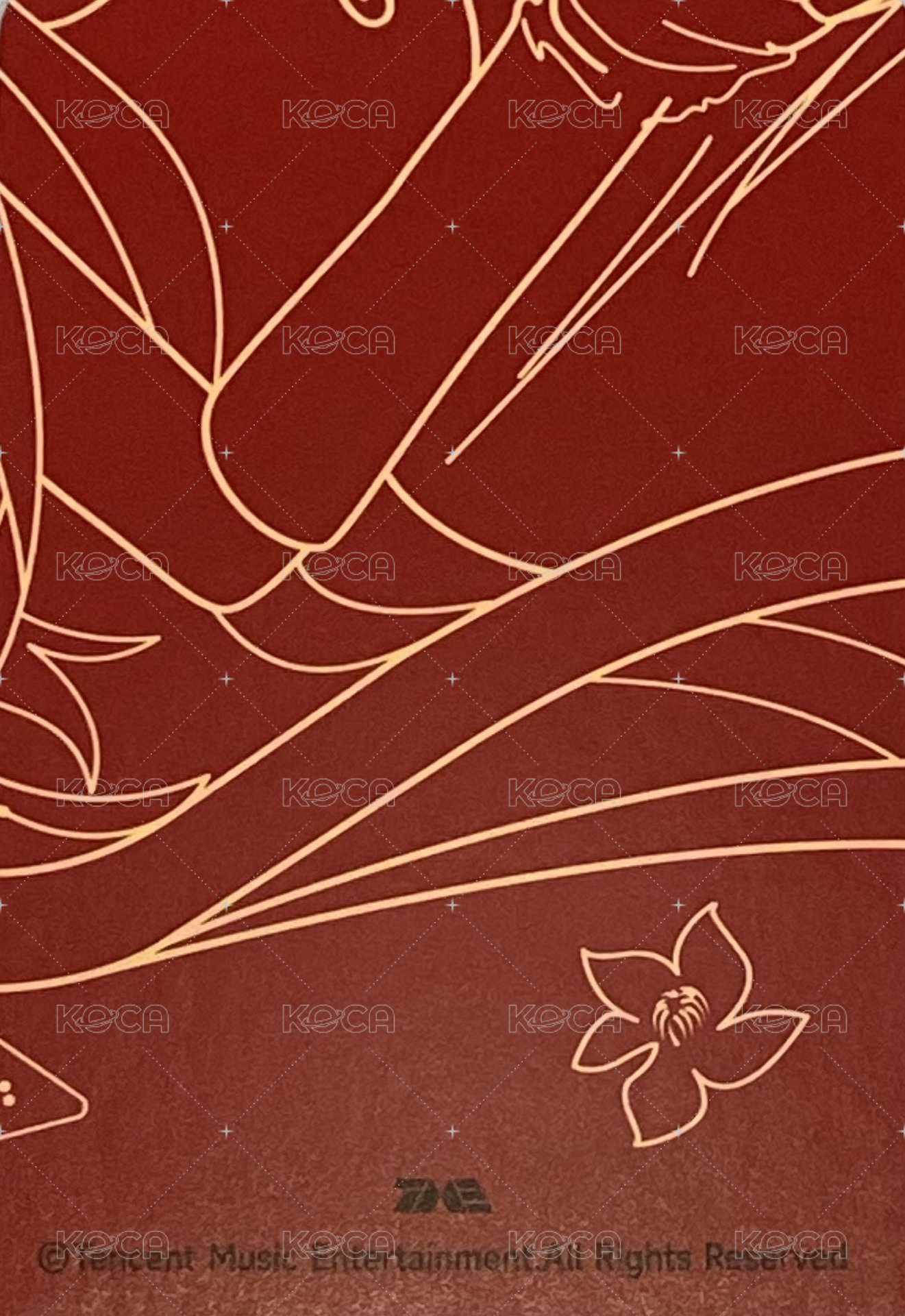 二專 星光卡 一星 背面