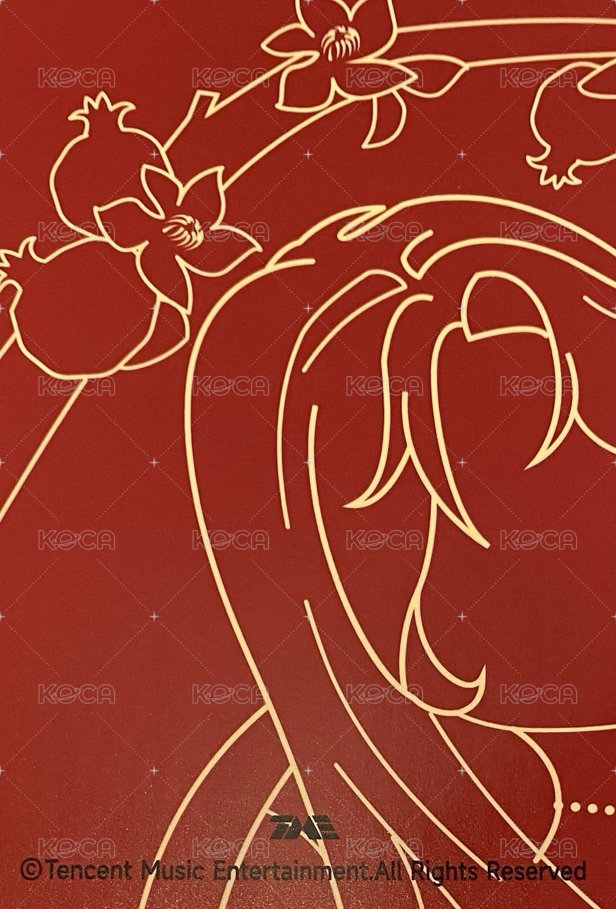 二專 星光卡 一星 背面