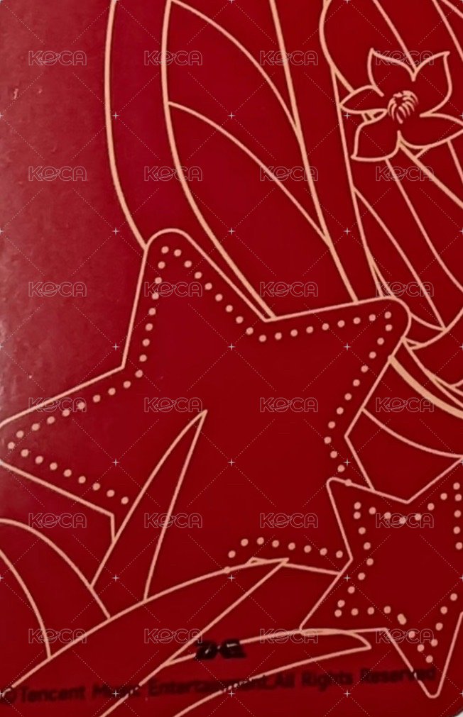 二專 星光卡 一星 背面