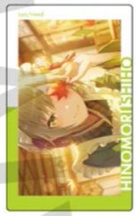 EP vol.24 B 隨機卡 落葉花後