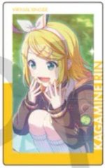 EP vol.24 B 隨機卡 落葉花前