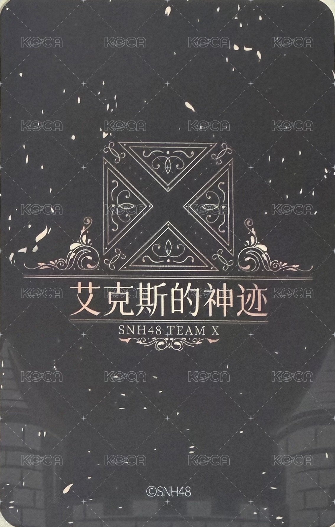 Team X 艾克斯的神跡 週年慶巡演 隨機卡  背面