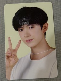 NCTZONE 園丁 周邊卡 官拍