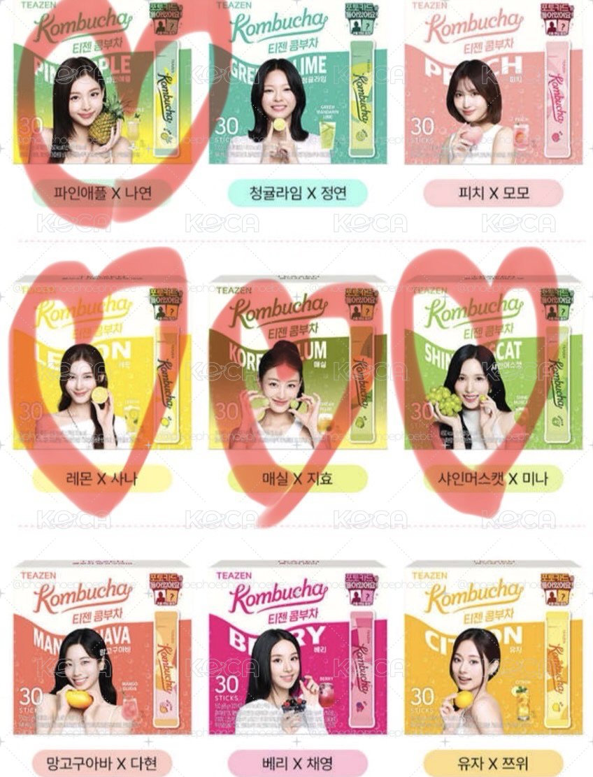 TWICE TEAZEN 康普茶/ 嚐鮮4口味