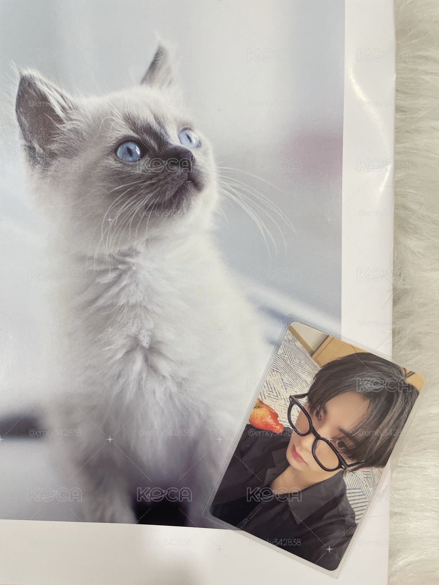 【BND】一直娛北京中選卡🐈‍⬛