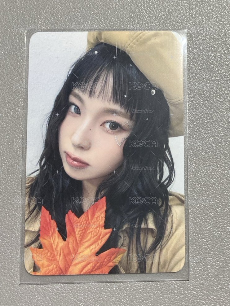 楓葉圭