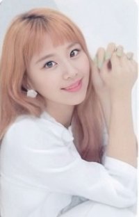 JP正規一 專輯卡 