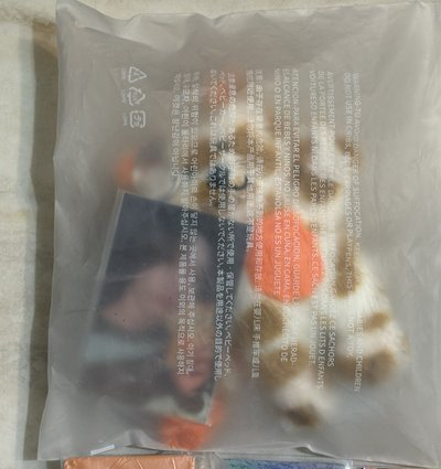 朴成淏娃娃+小卡