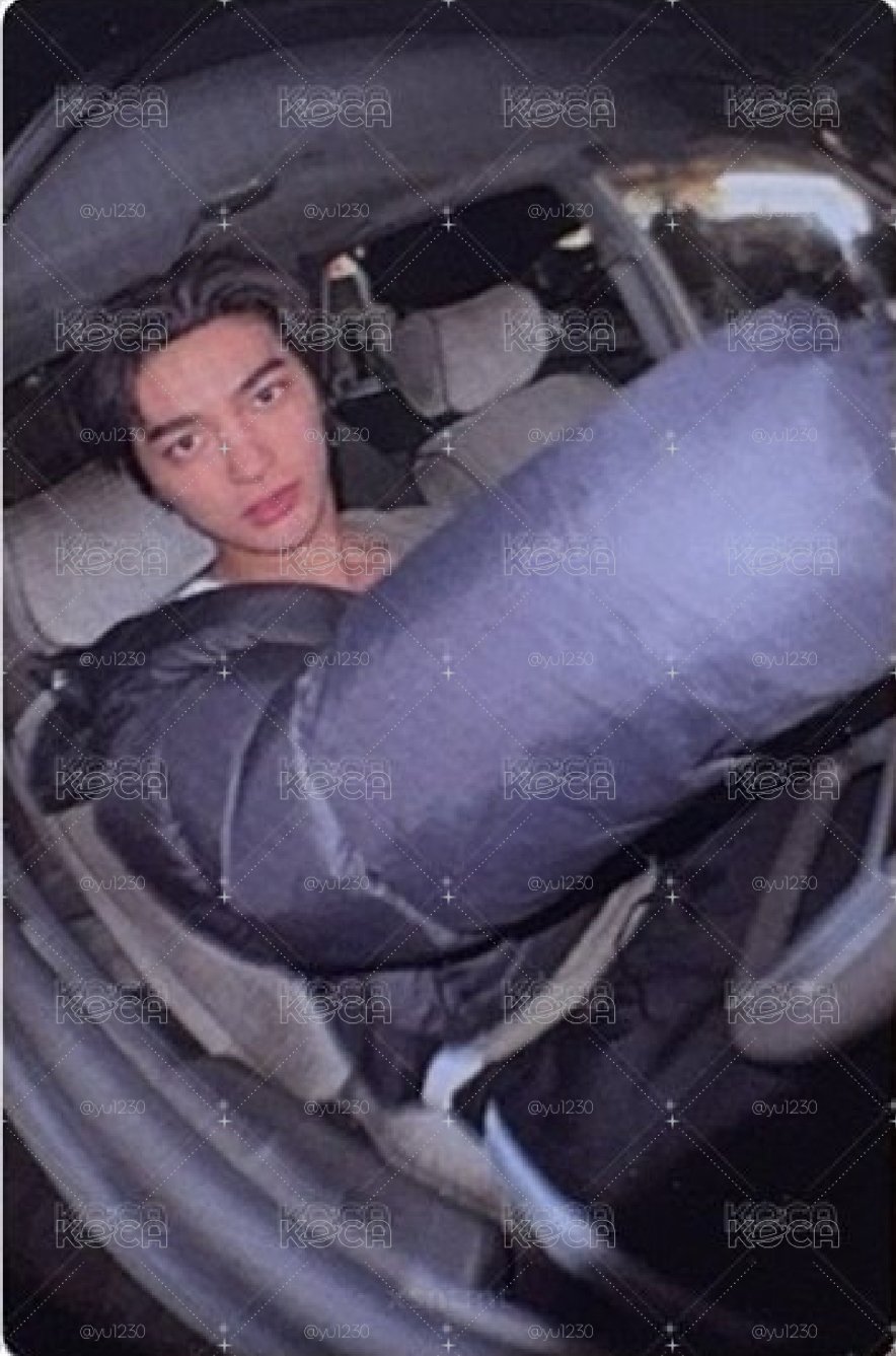 魚眼鎬