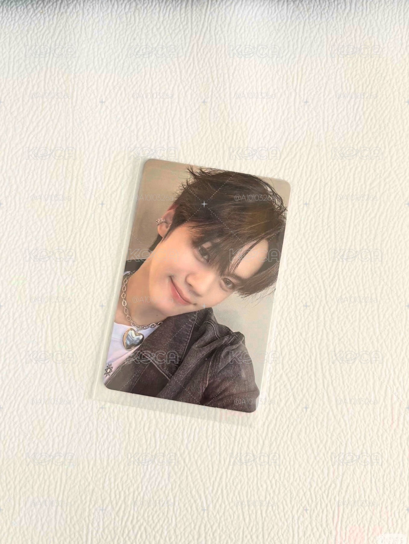 中背帶小狗奎彬回家吧！