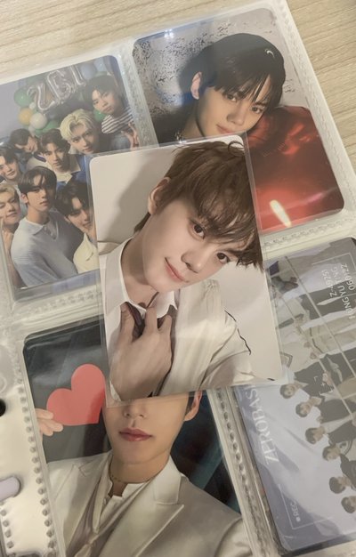 奎小盤（共6張）