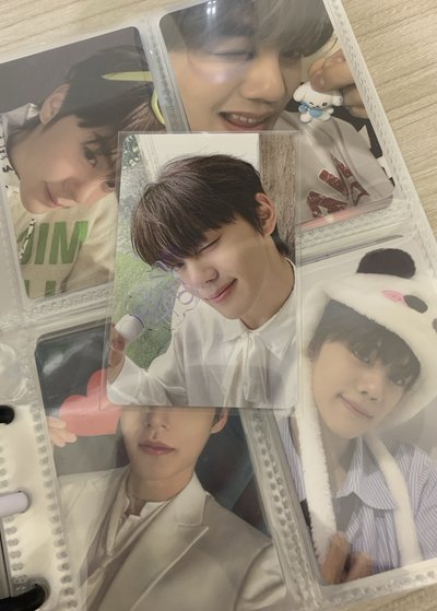 奎小盤（共6張）