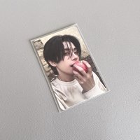 澳洲牛奶寶寶金毛獵犬