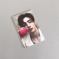 花滑王子小白犬