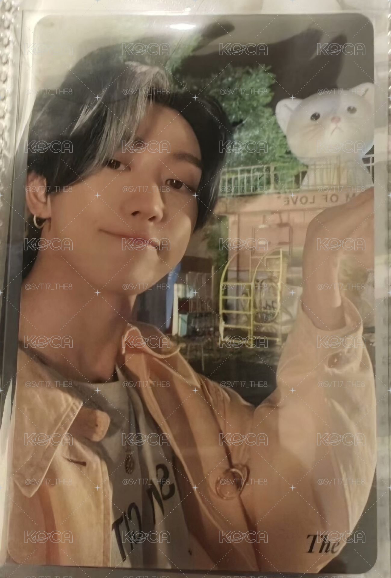 SEVENTEEN THE8 Mini8 感謝祭 托貓八