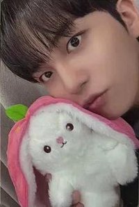 GH4 TOKTOQ POCA 特典卡 草莓兔子 ver.