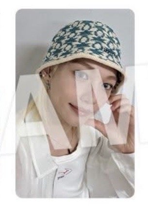 Stray Kids Karma 1/30 場限 辰菲