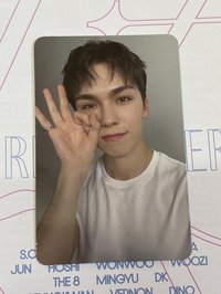 Vernon 