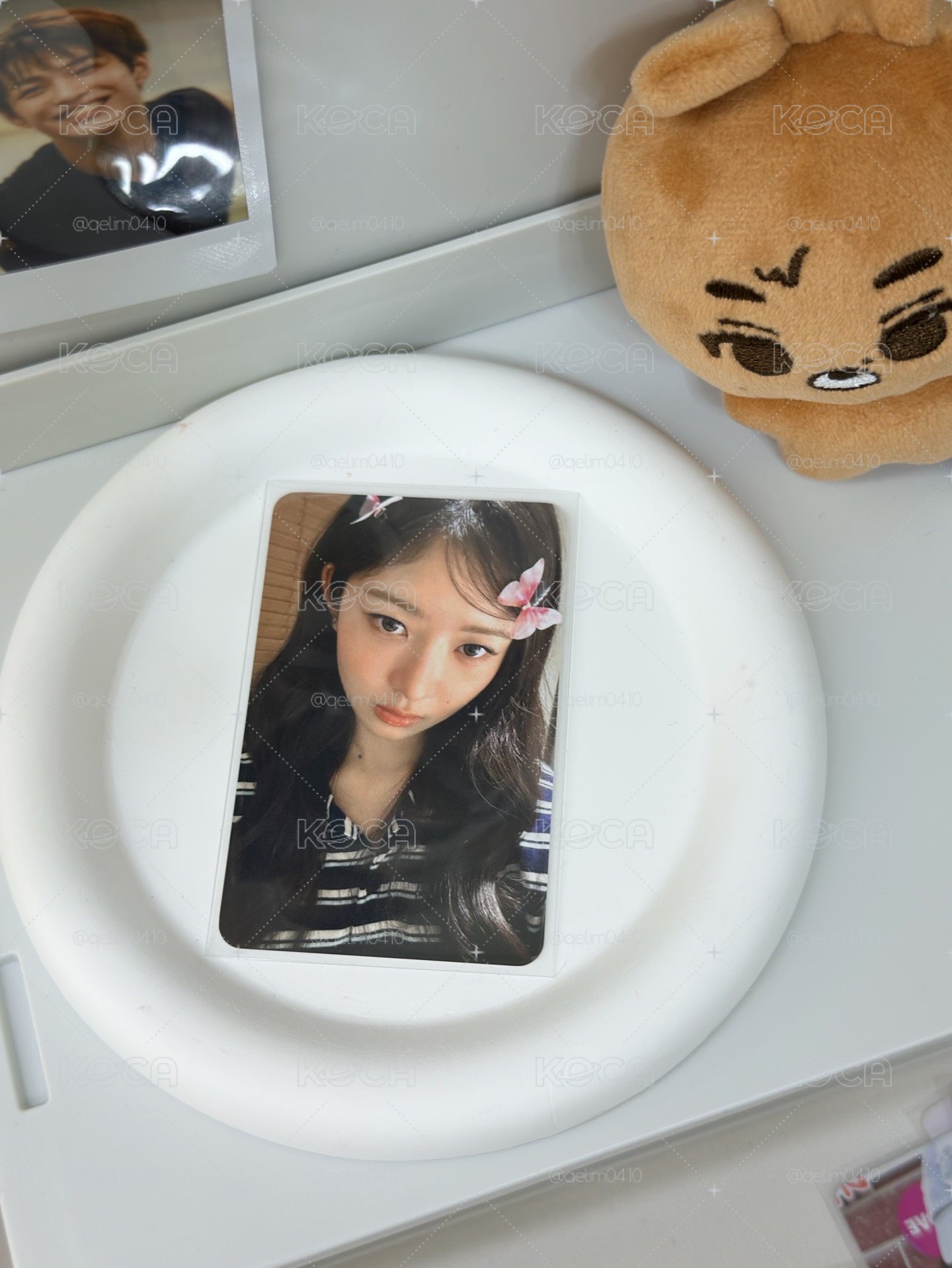 蝴蝶怜🦋