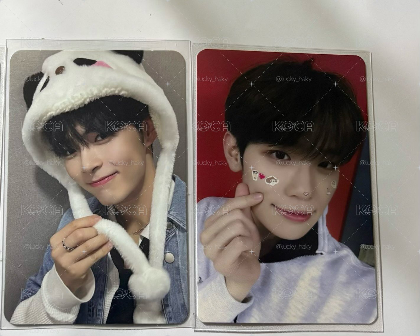 天安z整圖不拆（來卡中背）