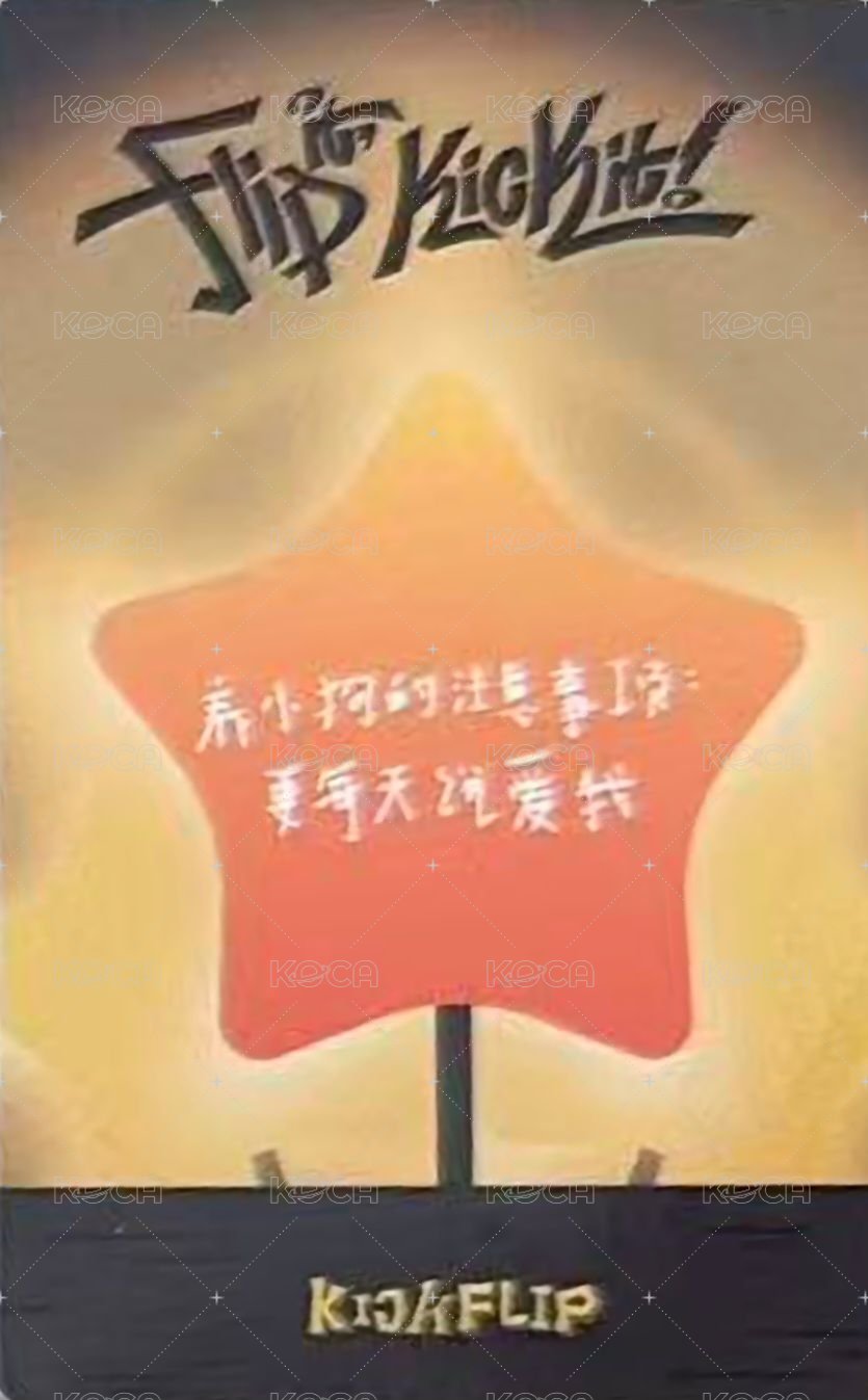 迷一 yzy 2.0 簽售卡  背面