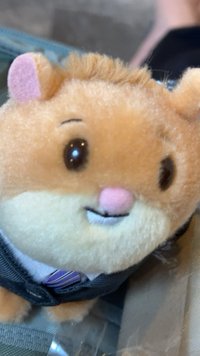 伊茲
