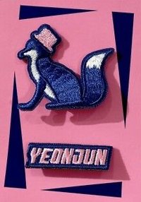 FOE wvs 特典 刺繡 徽章 