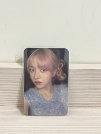 expérgo  楠藝中背莉