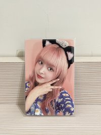 仲夏夜 wm線下貓耳莉