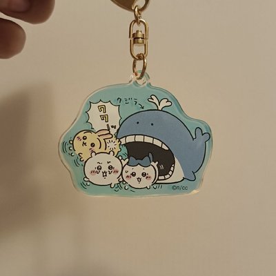 吉伊卡哇 水族館