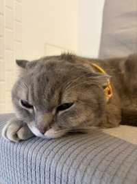 Wei