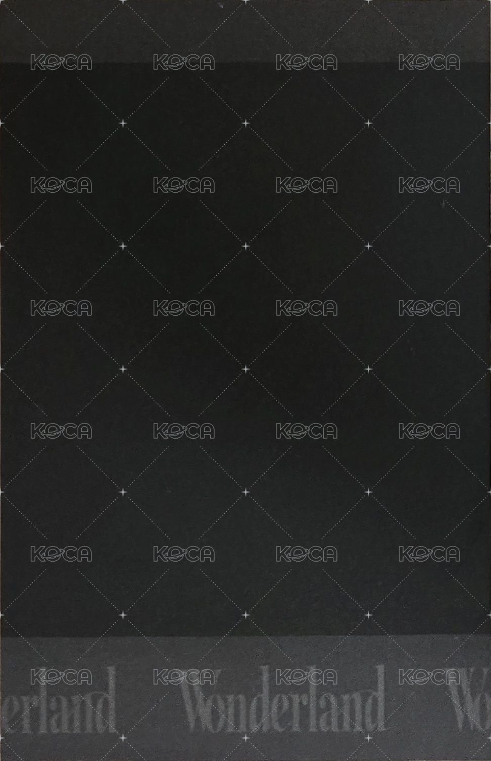 迷你八輯 專輯卡 拍立得小卡 Wonder ver. 背面