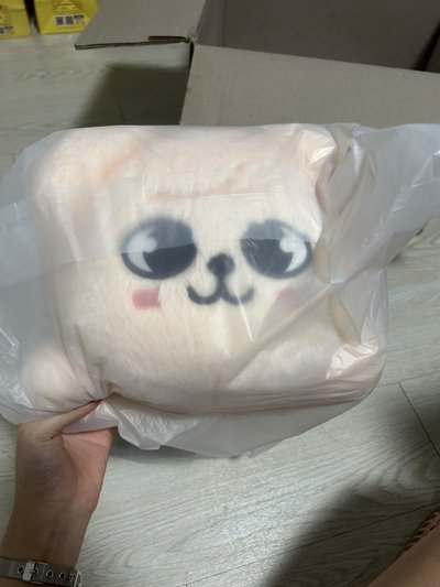 玟製趴姿泰迪娃➕辰趴娃鑰匙圈
