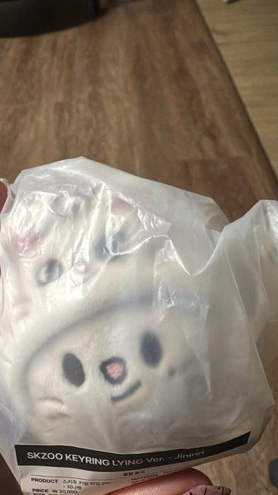 玟製趴姿泰迪娃➕辰趴娃鑰匙圈