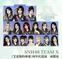 Team X 艾克斯的神跡 週年慶巡演