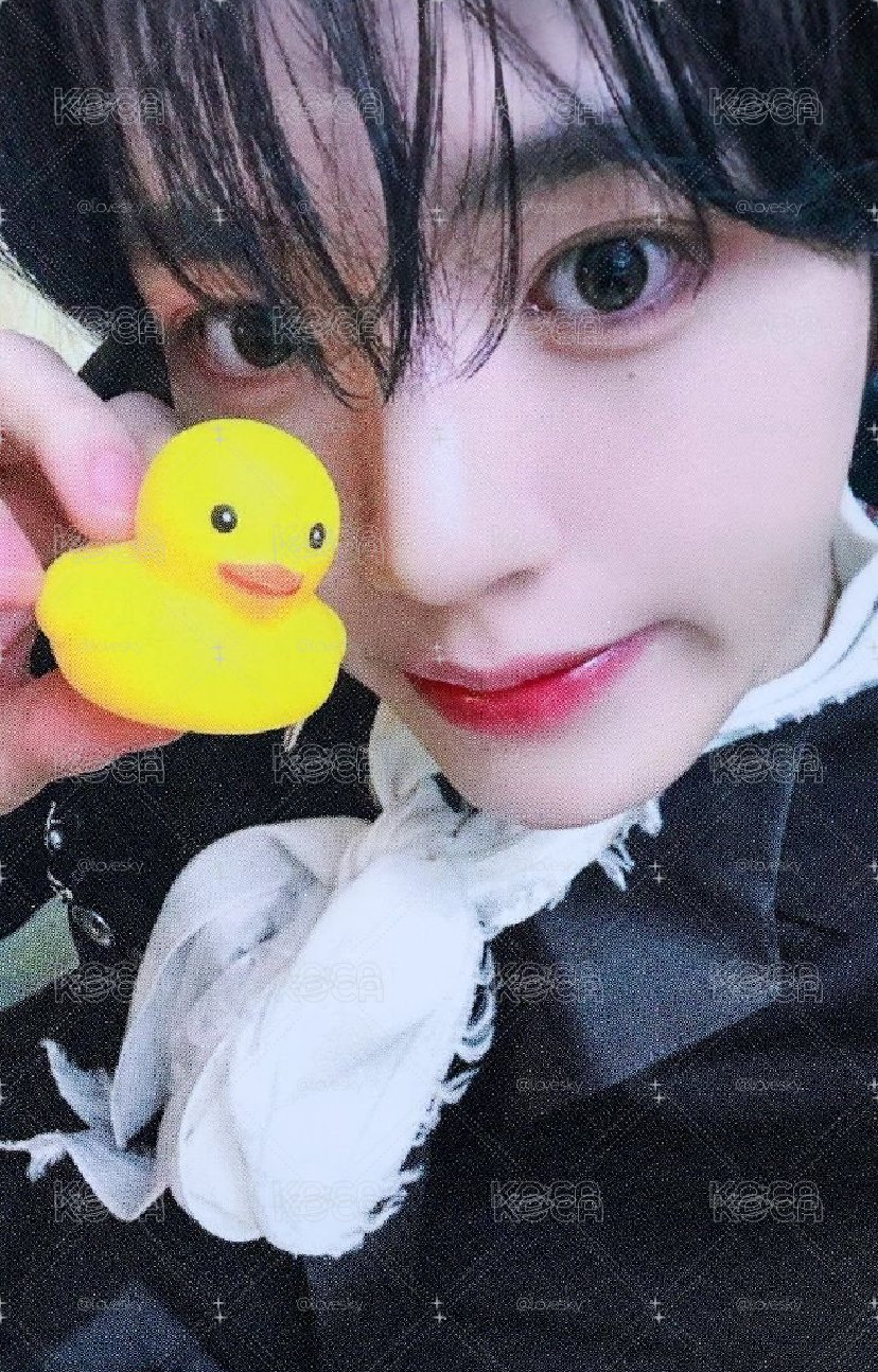 鴨子辰