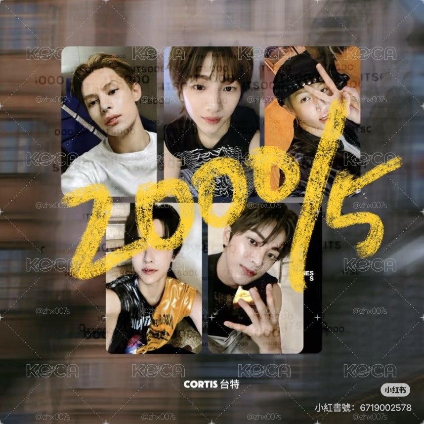 cortis 微樂客2.0一套
