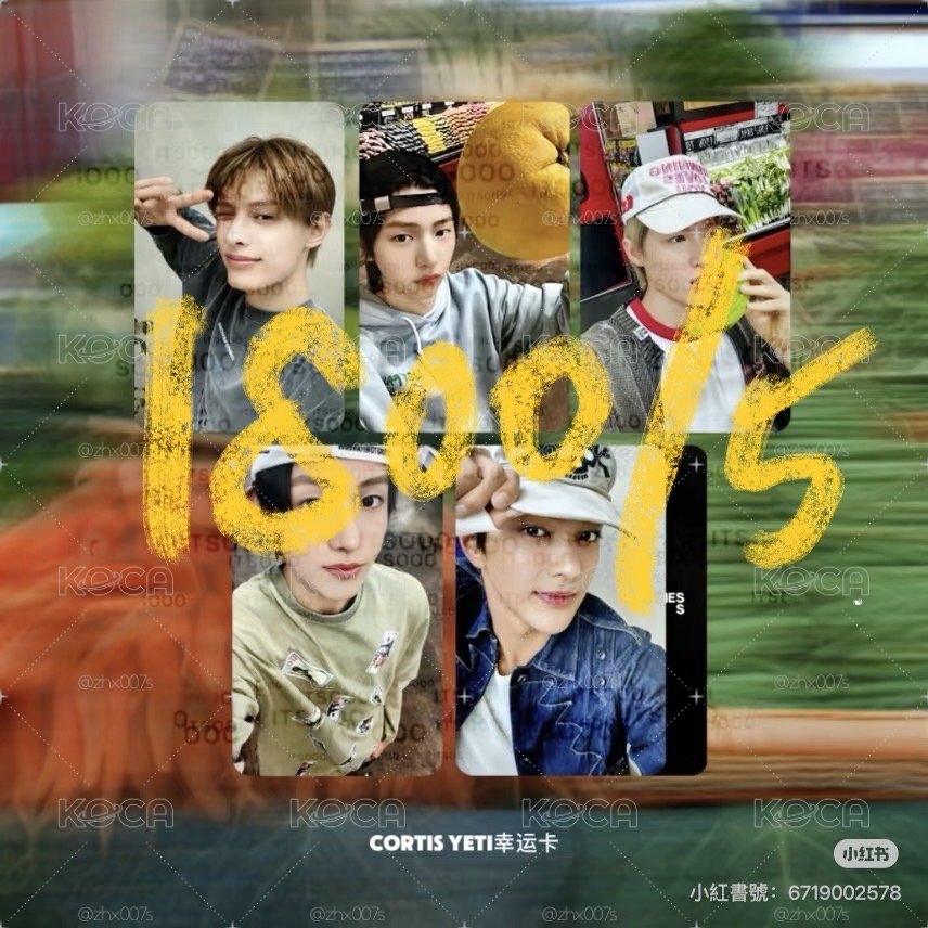 cortis yeti一套