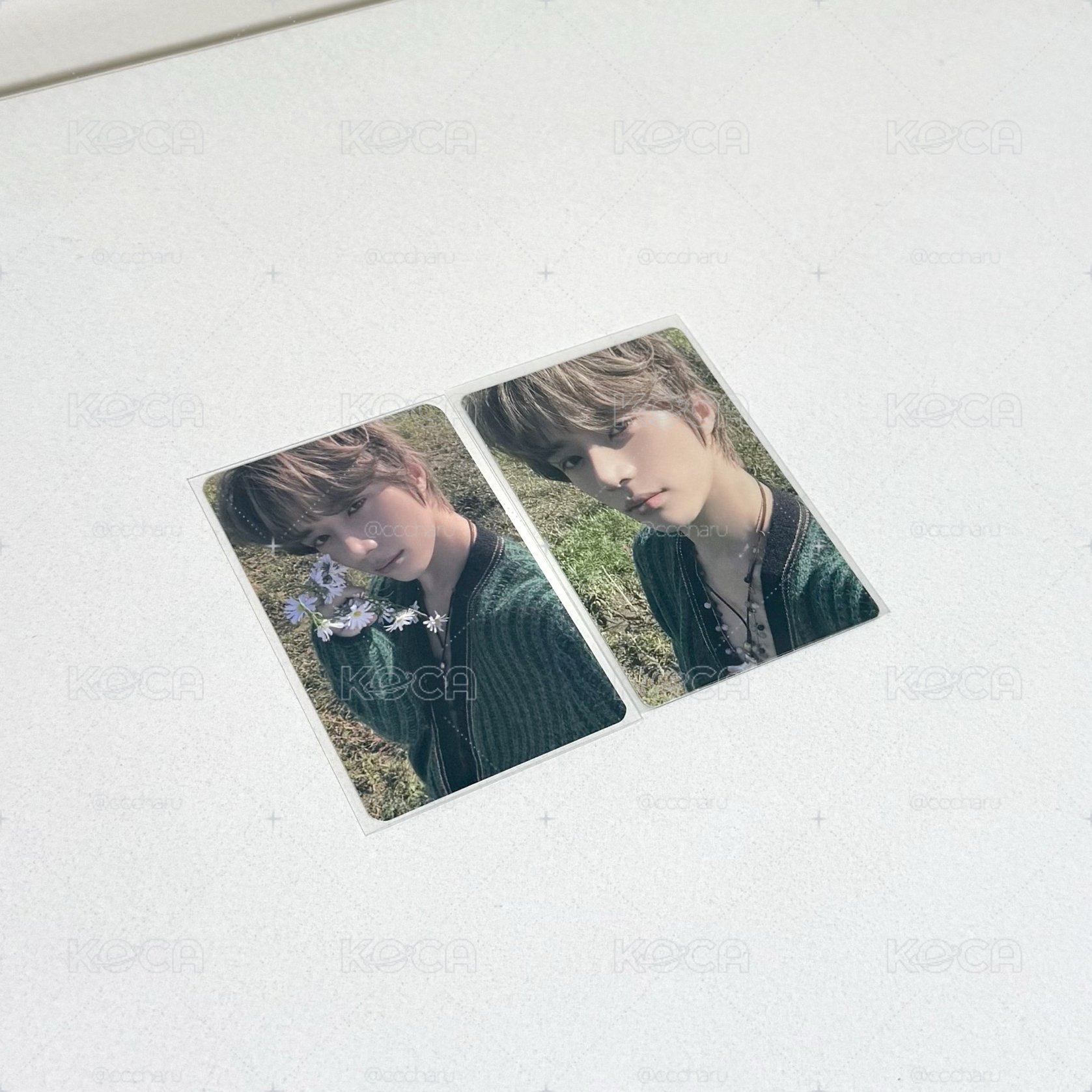 杋圭 小卡*2