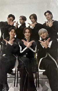 NESTFEST 隨機卡 團卡