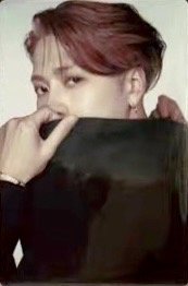 NESTFEST曼谷 鐵盒 周邊卡 