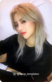 Windy 專輯卡 