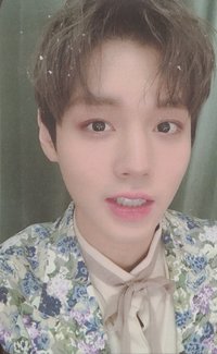 2019 FM 周邊卡 