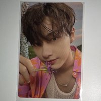 17(不當綁，且帶1張⭐️)