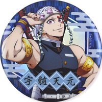 木棉花 炫彩 徽章 