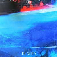 DUALITY 黑膠唱片 